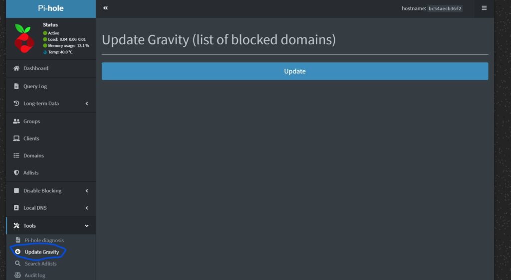 Screenshot of the Update Gravity tab in the pi-hole interface